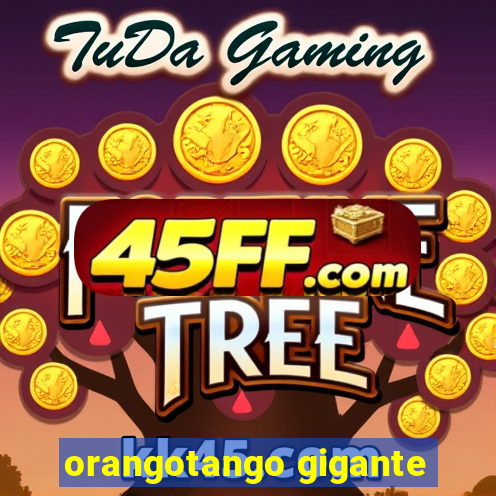 orangotango gigante